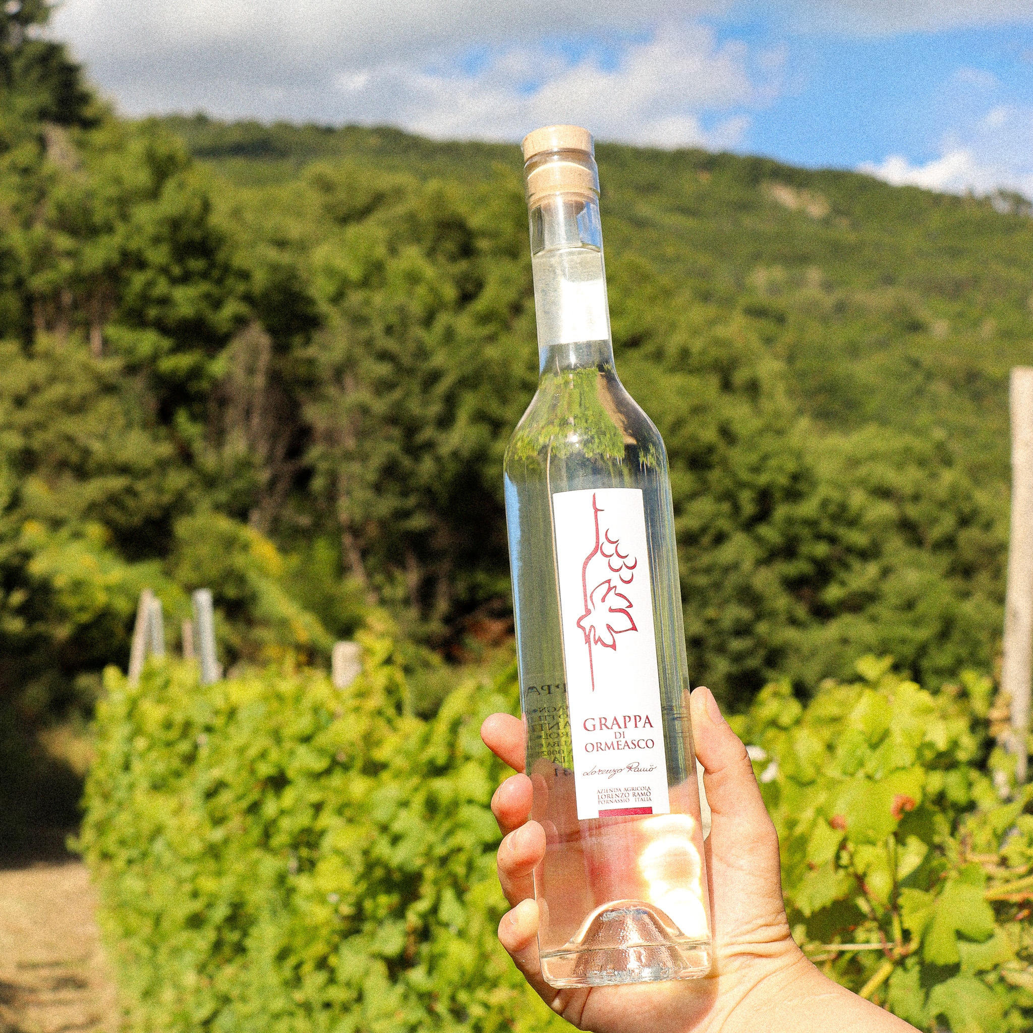 Grappa all'Ormeasco - immagine 3